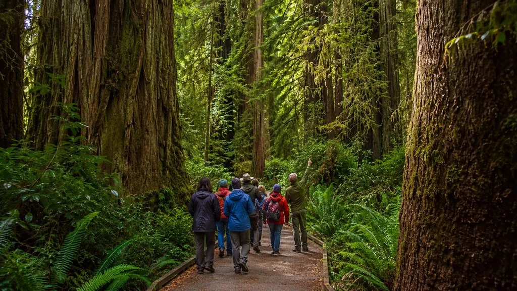 Vancouver : visite en petit groupe de Capilano et Grouse Mountain